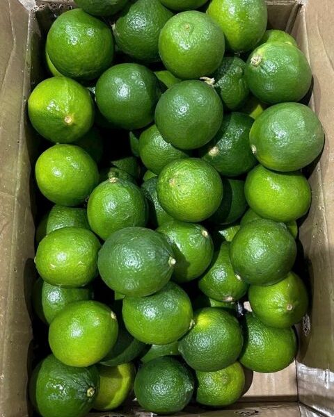 Limes — image 1