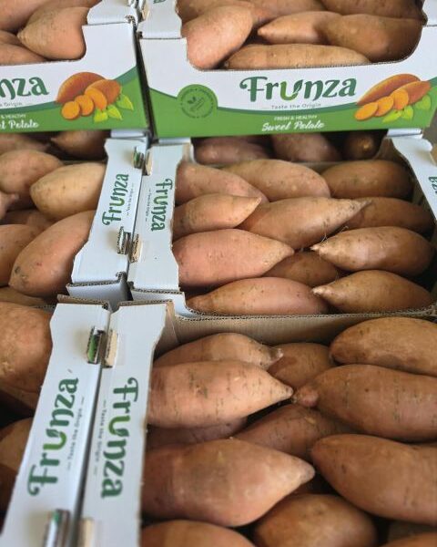 potato, sweet potato — image 1