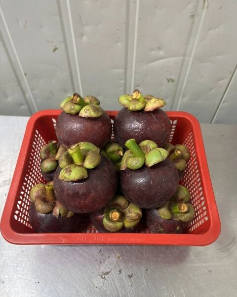 Mangosteen — image 1