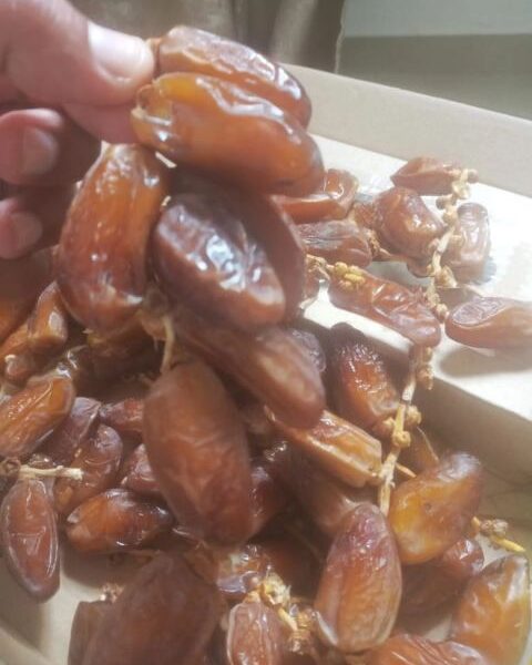 Dates from Tunisia — image 1