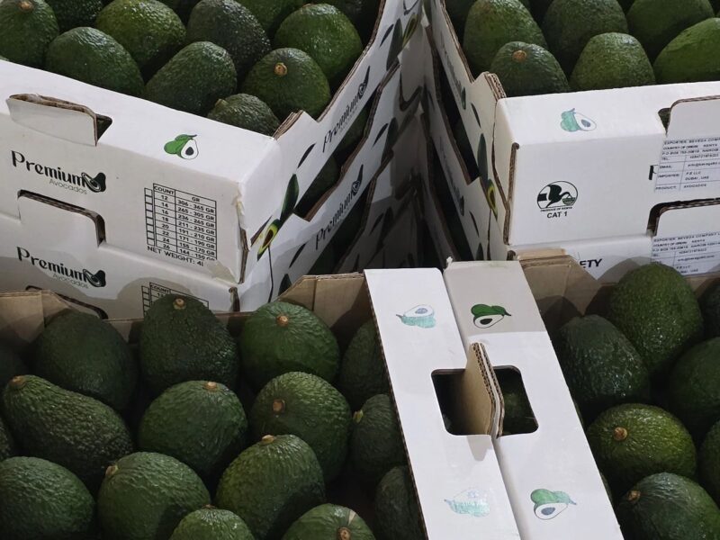 SELL — Avocado — image 1