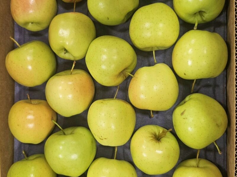 Golden Delicious from US — image 1