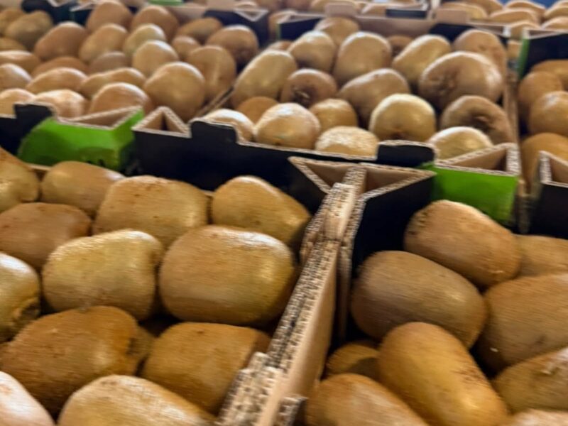 Kiwi from Greece — image 1